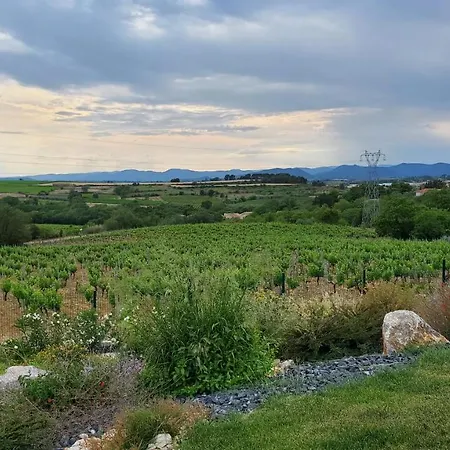 'au Coeur Des Vignes' - Private & Garden *