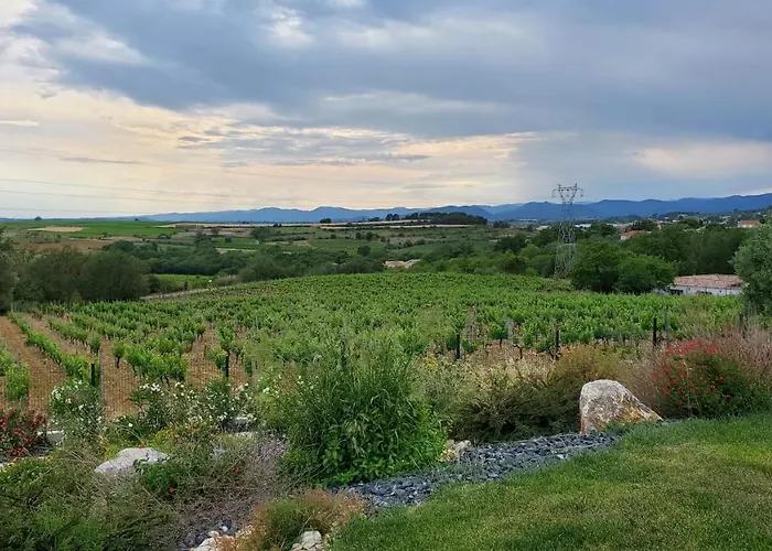 'au Coeur Des Vignes' - Private & Garden *